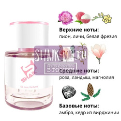  Shaik  Shaik W22 (Chloe Eau de Parfum), 25 ml.  2