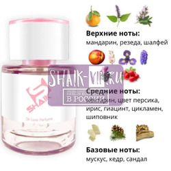  Shaik  Shaik W16 (Burberry Weekend), 25 ml.  2