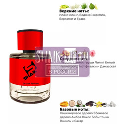  Shaik Shaik  205 (TIZIANA TERENZI Andromeda), 50 ml NEW.  2