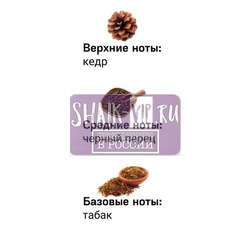  Shaik Shaik  511 (Ziel Roz Fic), 50 ml NEW.  2