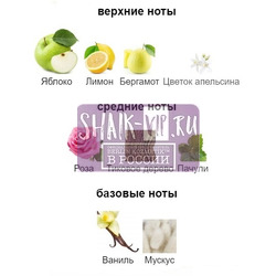 ������������� Shaik Shaik ������������� � ��������� Shaik 643 DESIRE 100 ml. ��� 2