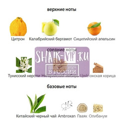 ���������� Shaik SHAIK / ����������� ���� Louis Vuitton Imagination Limited, 25 ��.. ��� 2