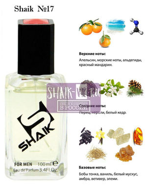 Shaik    17 Chanel Allure Homme Sport, 100 . ()