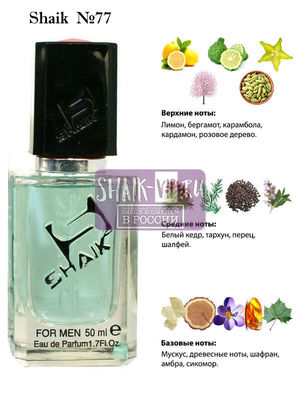  Shaik SHAIK /    77 Versace Fraiche, 50 . ()
