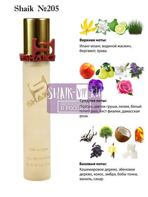  Shaik SHAIK /   205 TIZIANA TERENZI Andromeda 20  ()