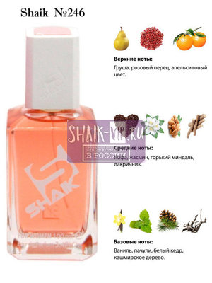  Shaik SHAIK /    246 Yves Saint Laurent Black Opium 100 . ()