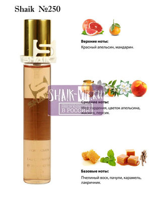  Shaik SHAIK /   250 Jean Paul Gaultier Scandal 20  ()