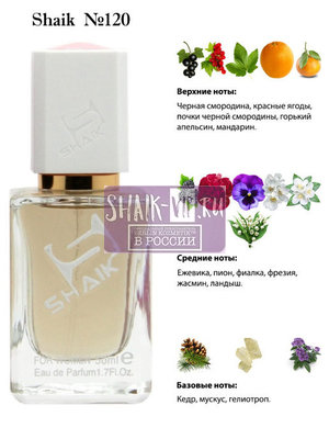  Shaik SHAIK /    120 Gucci Eau de Parfum II, 50 . ()