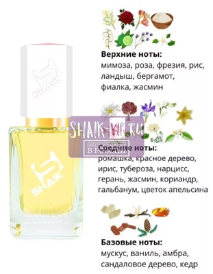  Shaik SHAIK /    196 Cerruti 1881 pour Femme, 50 . ()