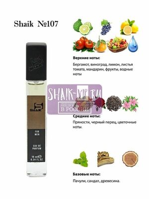  Shaik SHAIK /   107 Lacoste Essential 10  ()