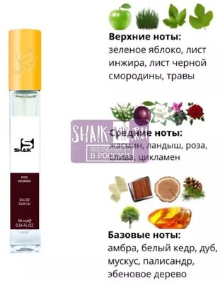  Shaik SHAIK /    276 Simimi Blanc dAnna 10  ()