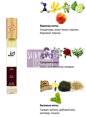  Shaik SHAIK /    34 Chanel 5 10  ()