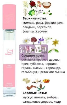  Shaik SHAIK /    196 Cerruti 1881 pour Femme, 10 . ()
