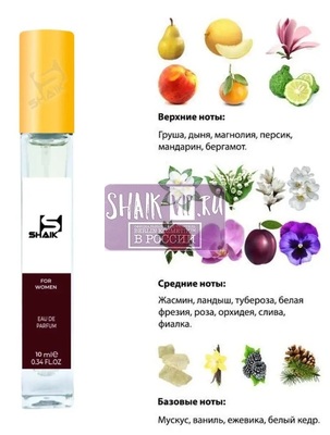  Shaik SHAIK /    54 Christian Dior "Jadore", 10 . ()