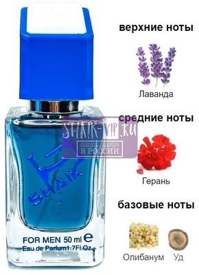  Shaik SHAIK /    647 Yves Saint Laurent Y Elixir 50  ()