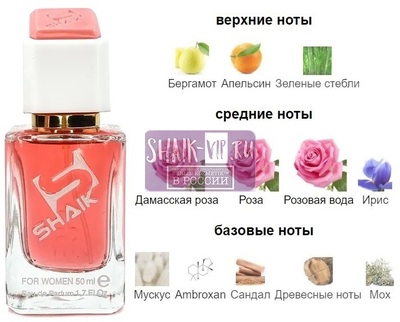  Shaik SHAIK /    482 Lancome La Vie Est Belle Rose Extraordinaire, 50 . ()