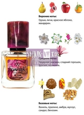  Sevaverek Sevaverek /   W5168 Sexy Little Things Noir Tease Victoria's Secret 30  ()