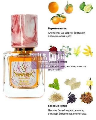  Sevaverek Sevaverek /   W5110 Chanel Coco Mademoiselle 30  ()