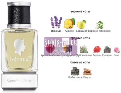 Парфюмерия Silvana Silvana М881 Montblanc Legend 50 мл Парфюмерия Silvana Silvana М881 Montblanc Legend 50 мл (фото)