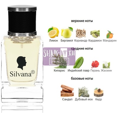 Парфюмерия Silvana Silvana М871 Life Essence 50 мл Парфюмерия Silvana Silvana М871 Life Essence 50 мл (фото)