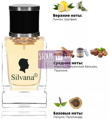 Парфюмерия Silvana Silvana М869 Paco Rabanne Black XS 50 мл Парфюмерия Silvana Silvana М869 Paco Rabanne Black XS 50 мл (фото)