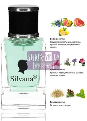 Парфюмерия Silvana Silvana М867 DG K by DG 50 мл Парфюмерия Silvana Silvana М867 DG K by DG 50 мл (фото)