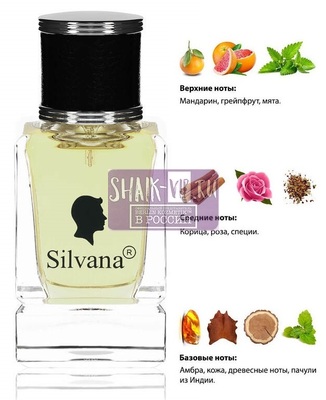 Парфюмерия Silvana Silvana М809 Paco Rabanne 1 Million 50 мл Парфюмерия Silvana Silvana М809 Paco Rabanne 1 Million 50 мл (фото)