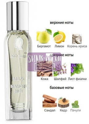 ���������� Silvana Silvana �875 Yohji Yamamoto Yohji Homme 18 �� (����)