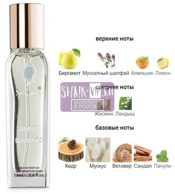 ���������� Silvana Silvana M857 Shaik Chic Shaik �70 Men 18 �� (����)