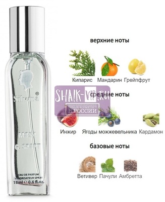 ���������� Silvana Silvana M854 Gucci By Gucci Sport Pour Homme 18 �� (����)