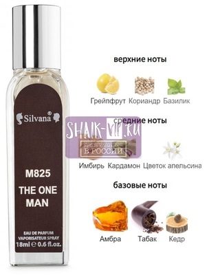 Парфюмерия Silvana Silvana M825 DG The One For Men 18 мл Парфюмерия Silvana Silvana M825 DG The One For Men 18 мл (фото)