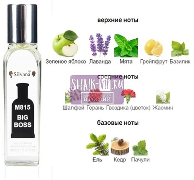 ���������� Silvana Silvana M815 Hugo Boss Hugo 18 �� (����)