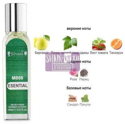 ���������� Silvana Silvana 808 Lacoste Essential Men 18 �� (����)