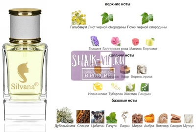 ���������� Silvana Silvana W439 Lancome Magie Noire 50 �� (����)