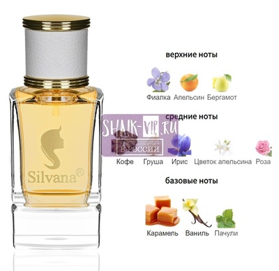 Парфюмерия Silvana Silvana W450 DG The Only One 50 мл Парфюмерия Silvana Silvana W450 DG The Only One 50 мл (фото)