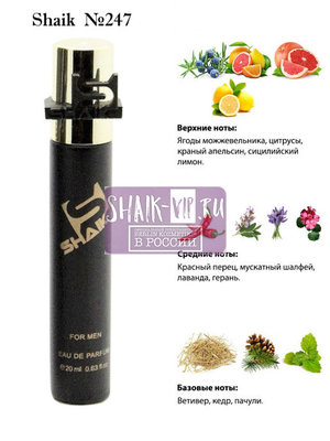  Shaik SHAIK /   247 Dolc i Gaub KING 20 . ()