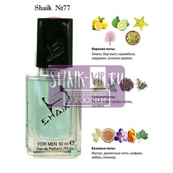  Shaik SHAIK /    77 Versace Fraiche, 50 .