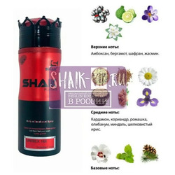  Shaik SHAIK /    166 Esc Mol Esc 02 200 .