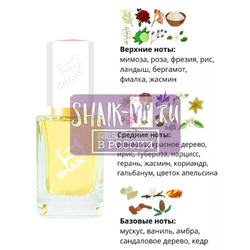  Shaik SHAIK /    196 Cerruti 1881 pour Femme, 50 .