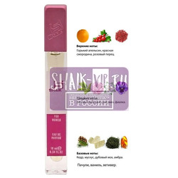  Shaik SHAIK /    376 Moschino Funny, 10 